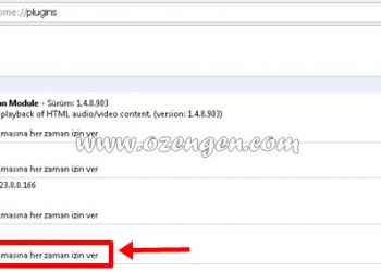 Chrome PDF Görüntüleyici Nasıl Aktif Edilir