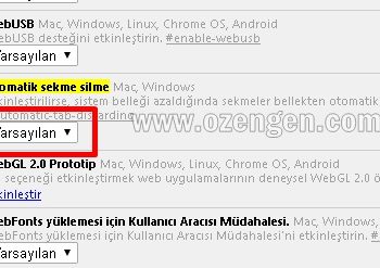Chrome sürekli sayfa yenileme sorunu çözümü