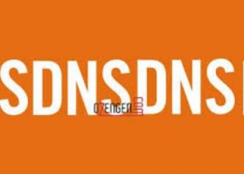 Aktif DNS Sunucu Adresleri Arşivi