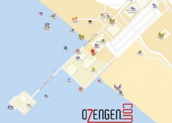 Pokemon Türleri ve Bulunduğu Yerler