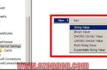 “Proxy Ayarları Değişmiyor” Sorunu Çözümü