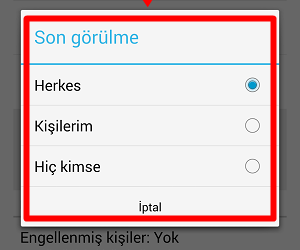 Whatsapp Son Görülme Ayarı Nasıl Yapılır