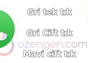 Whatsappta mavi ve gri tik anlamları
