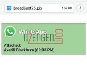 Whatsapp’tan Gelen E-mail Nedir