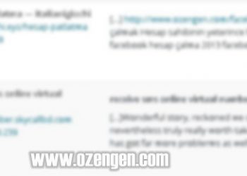 Wordpress pingback nedir nasıl kapatılır