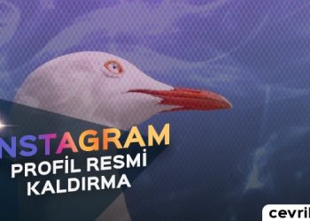 Instagram Profil Resmi Kaldırma