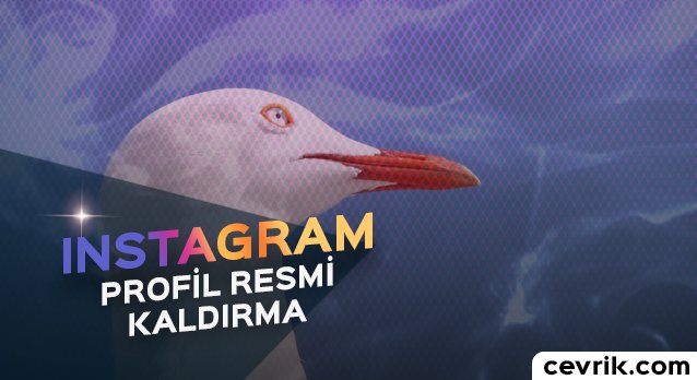 Instagram Profil Resmi Kaldırma
