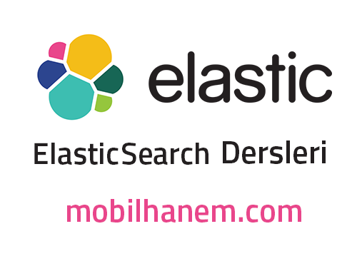 ElasticSearch Dersleri – ElasticSearch Nedir