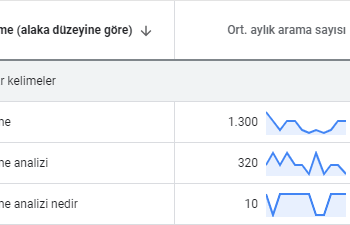 Anahtar Kelime Nedir? Nasıl Bulunur? Nasıl Kullanılır?