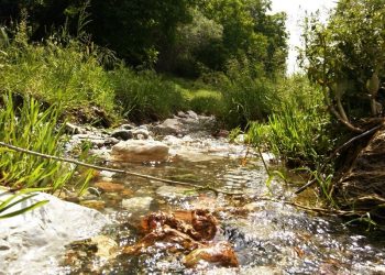 Bisiklet Gezilerim: Hatıp – Gödene – Çayırbağı