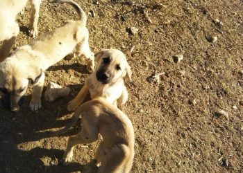 Bisiklet Gezilerim: Kavak Belediyesi – İçeri Çumra