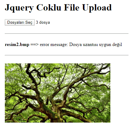 Eklentisiz Jquery AJAX File Upload Kullanımı – PHP