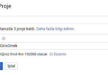 Google ile Giriş Yap PHP & Javascript - 2 Basit Örnek
